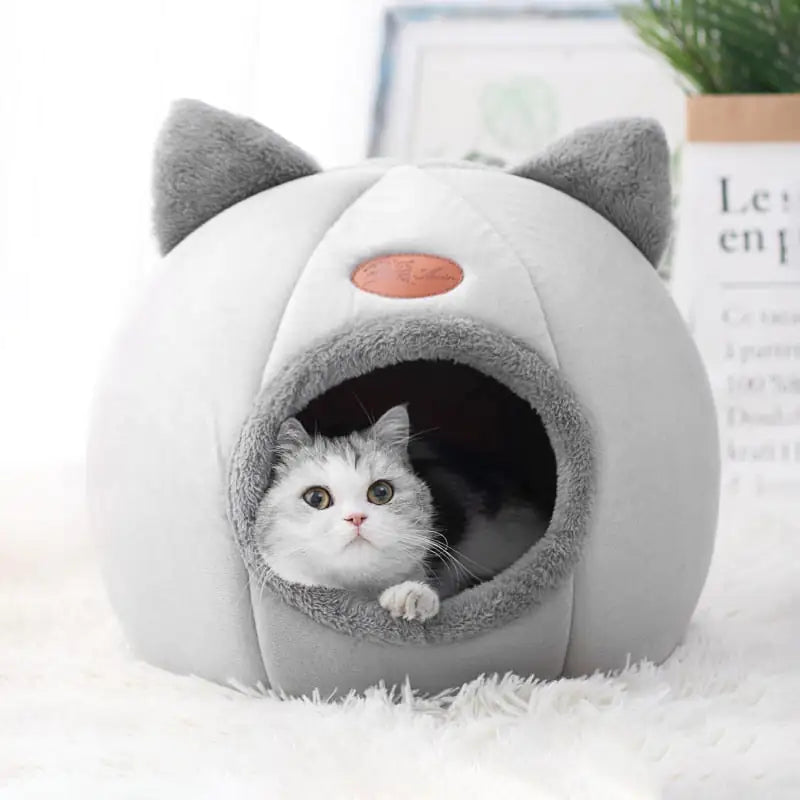 Cat Cubby